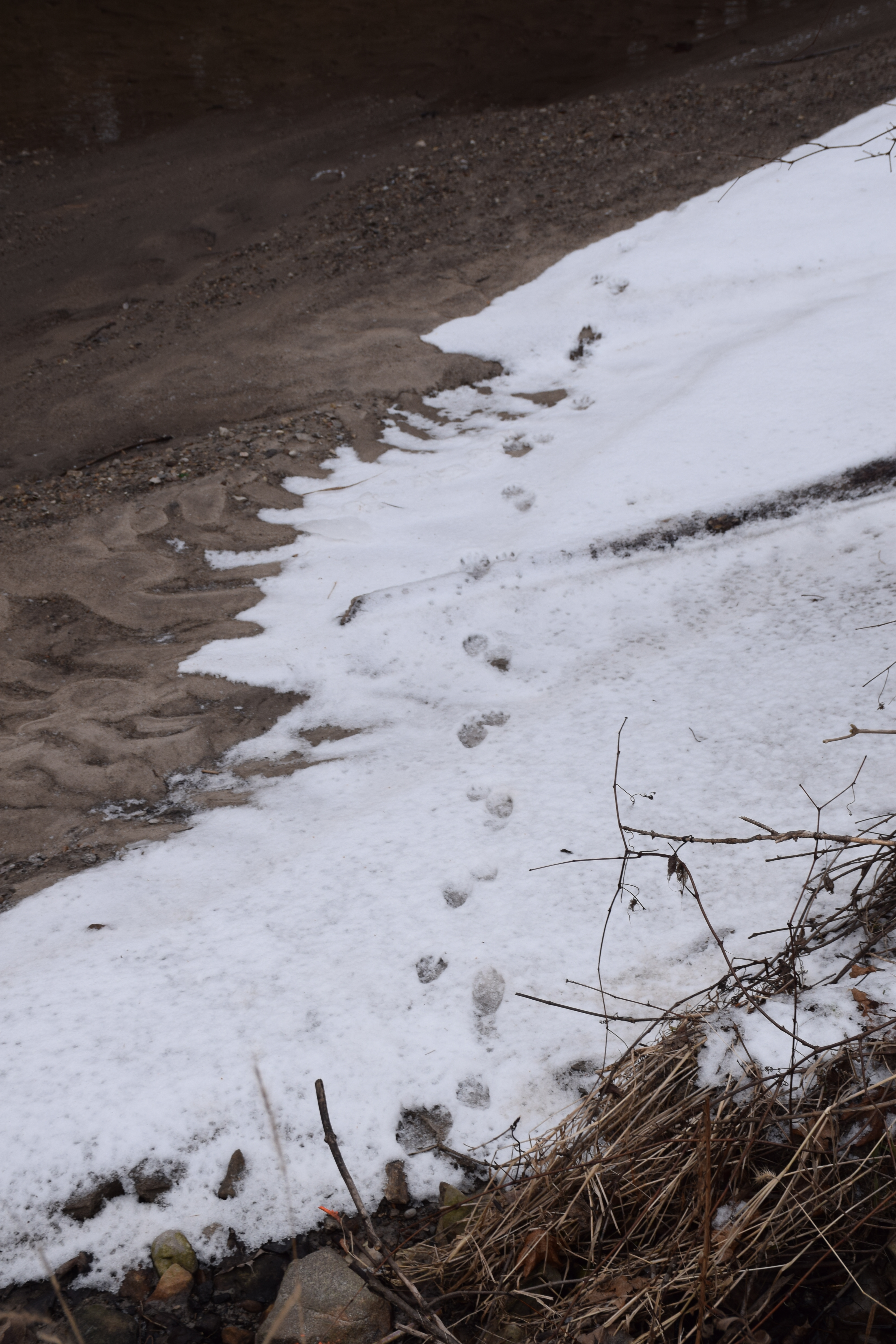 Evidence of Past Climates